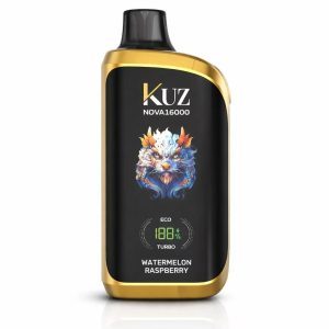 KUZ 16000 disposable vape at Vapoaus-kuz 16000 vape
